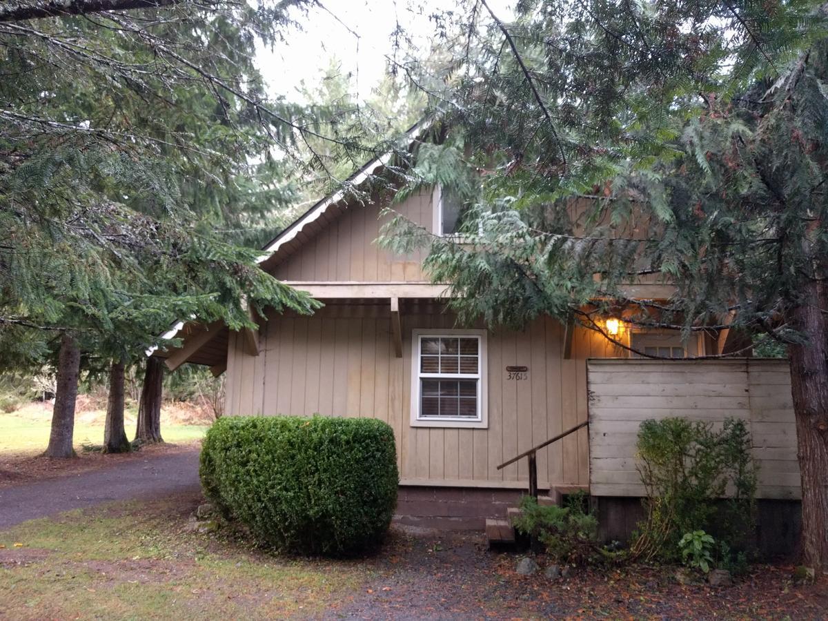 Chalet At Mt. Rainier Villa Ashford Exterior photo